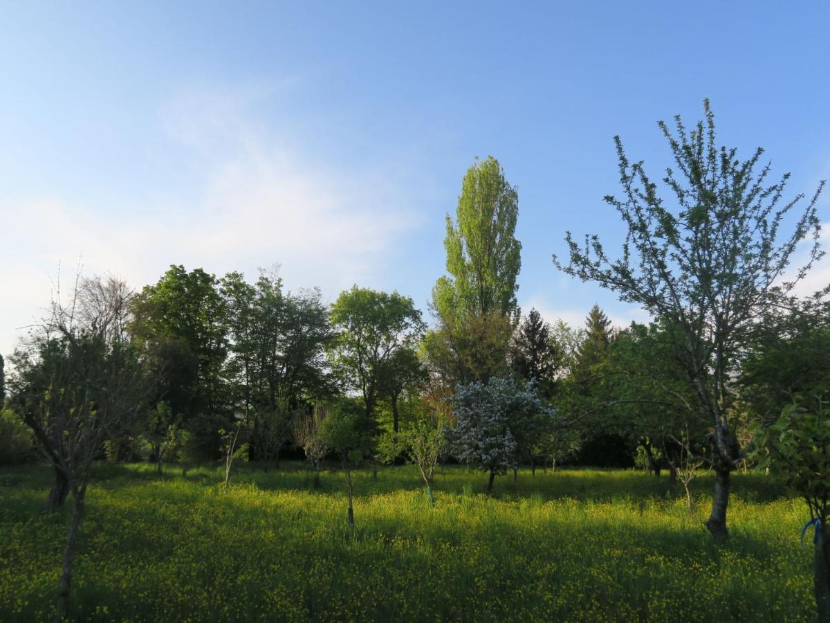 Appartamento Locazione Turistica Casa del Ligustro Strassoldo Esterno foto
