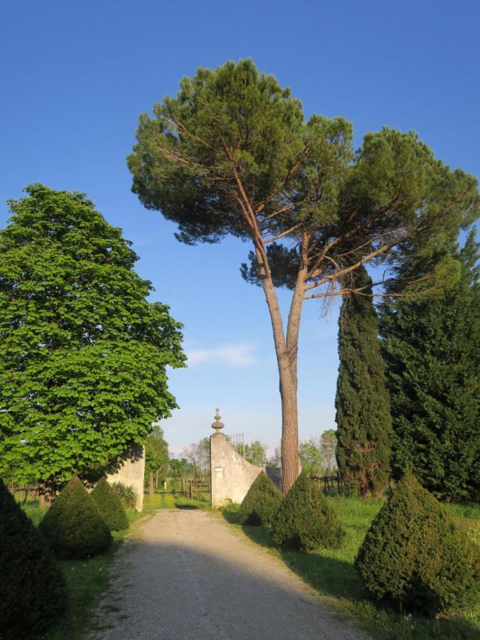 Appartamento Locazione Turistica Casa del Ligustro Strassoldo Esterno foto